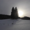 Schneeschuh Wanderung im Allgäu by fort-Schritte (1)