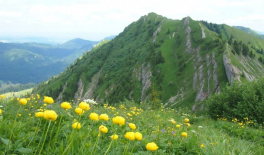 AllgäuFasten, Oberstaufen