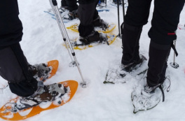 SchneeSchuhWanderung, Allgäu, Oberstaufen