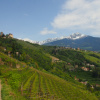 Sommer und Berge im Vinschgau Südtirol (6) Sommer und Berge im Vinschgau Südtirol (6)